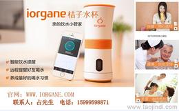 個人護理電器市場概覽 其他個人護理電器的價格、廠家與批發渠道